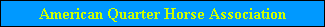 American Quarter Horse Association