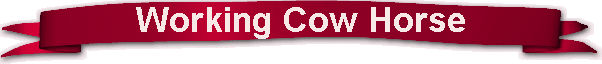 Working Cow Horse